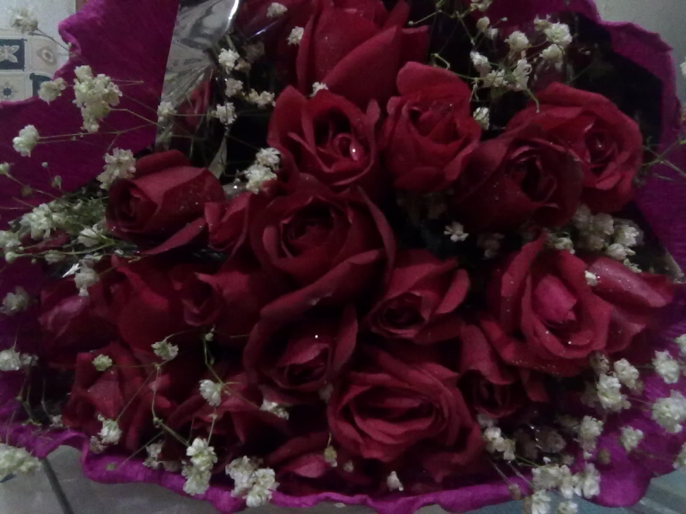 201202141035.jpg