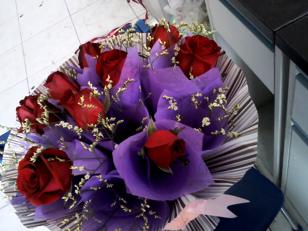 YP20120218132858.jpg