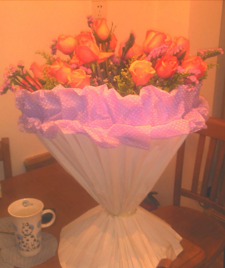 2012-02-14 21.54.07.jpg